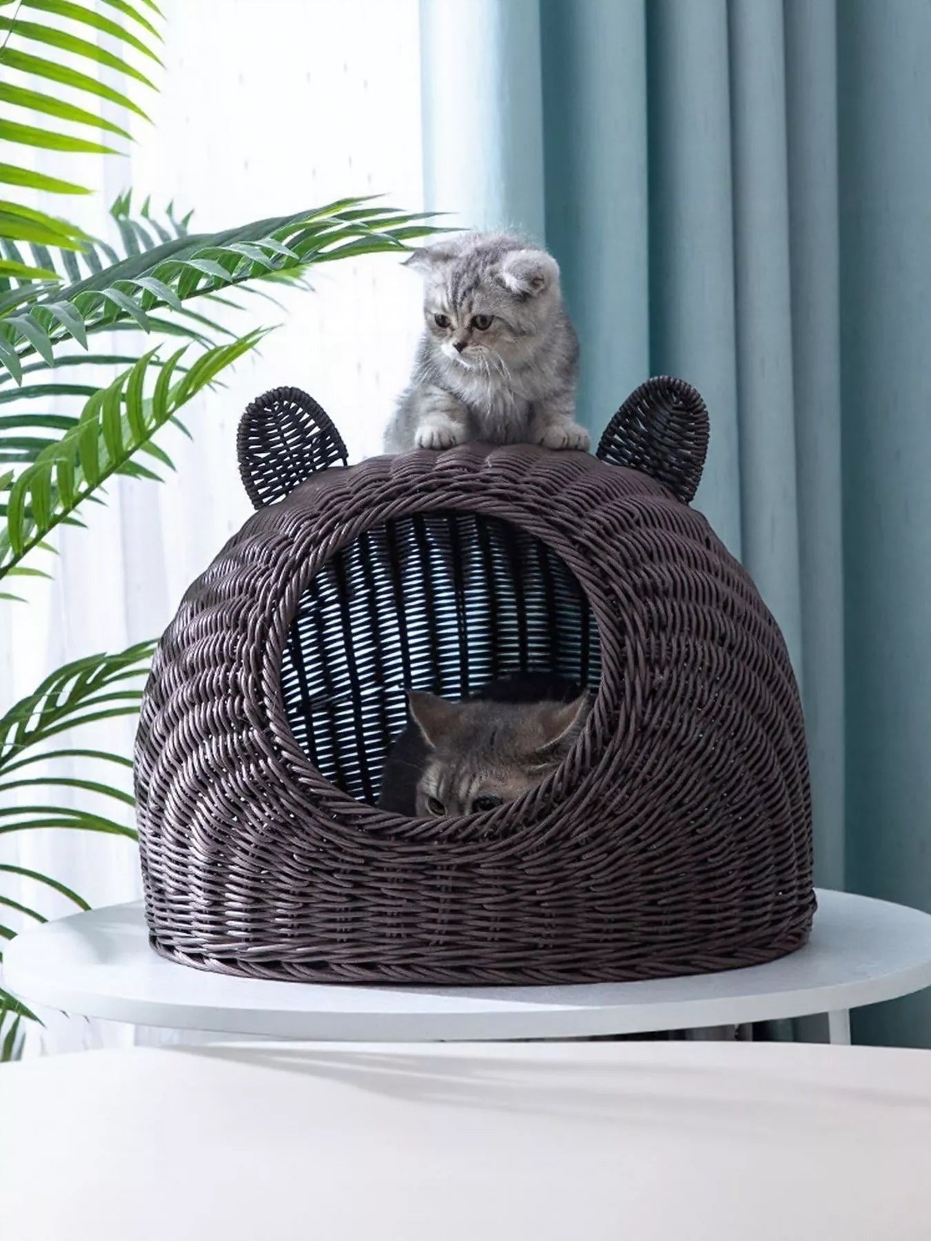 Little Pets Club brown rattan-style woven cat bed with bear ears, semi-enclosed design, perfect for cozy naps.