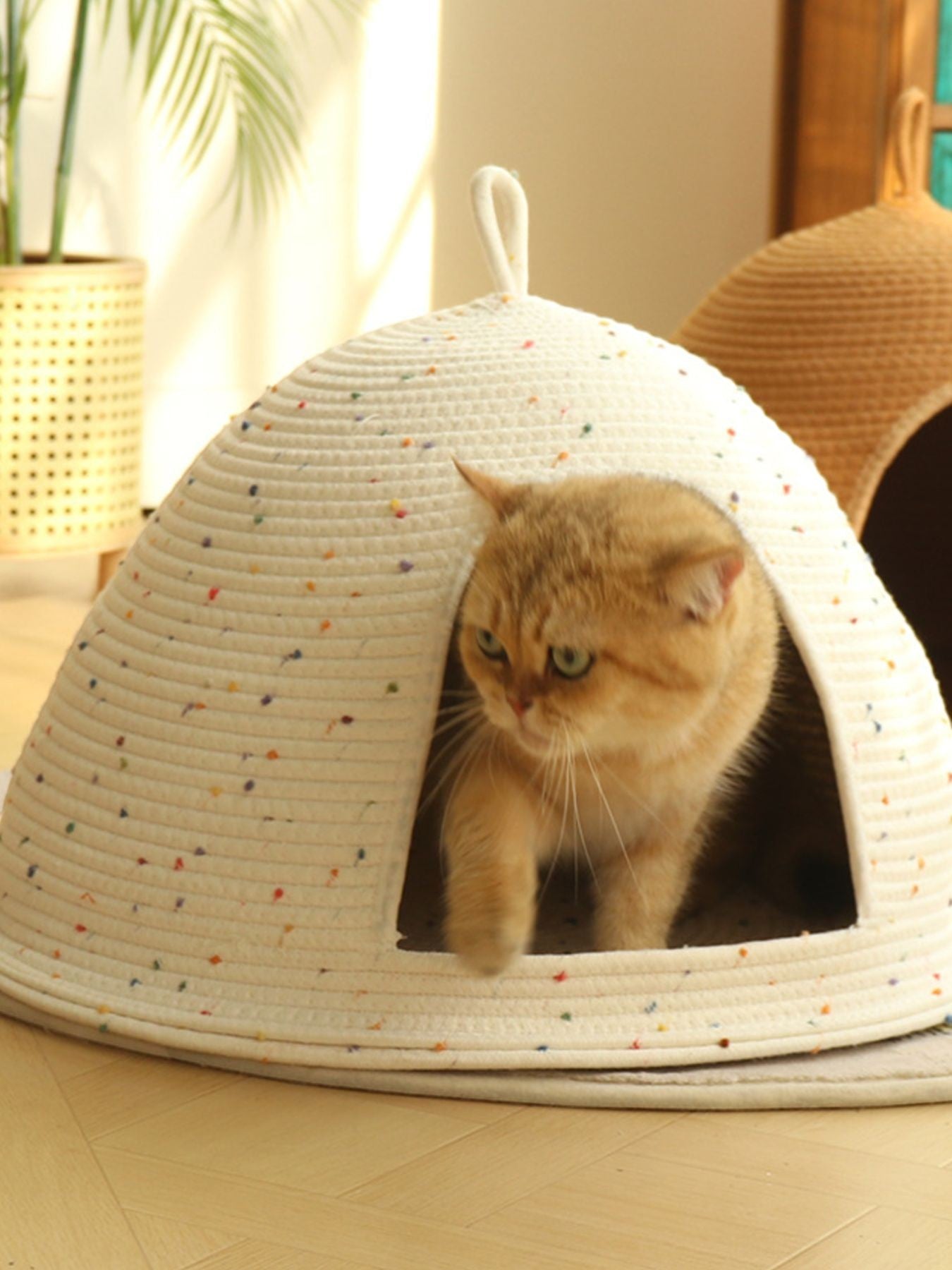 Little Pets Club Cozy Hideaway Cave pet bed, a cream woven dome with colorful speckles, featuring a golden cat.