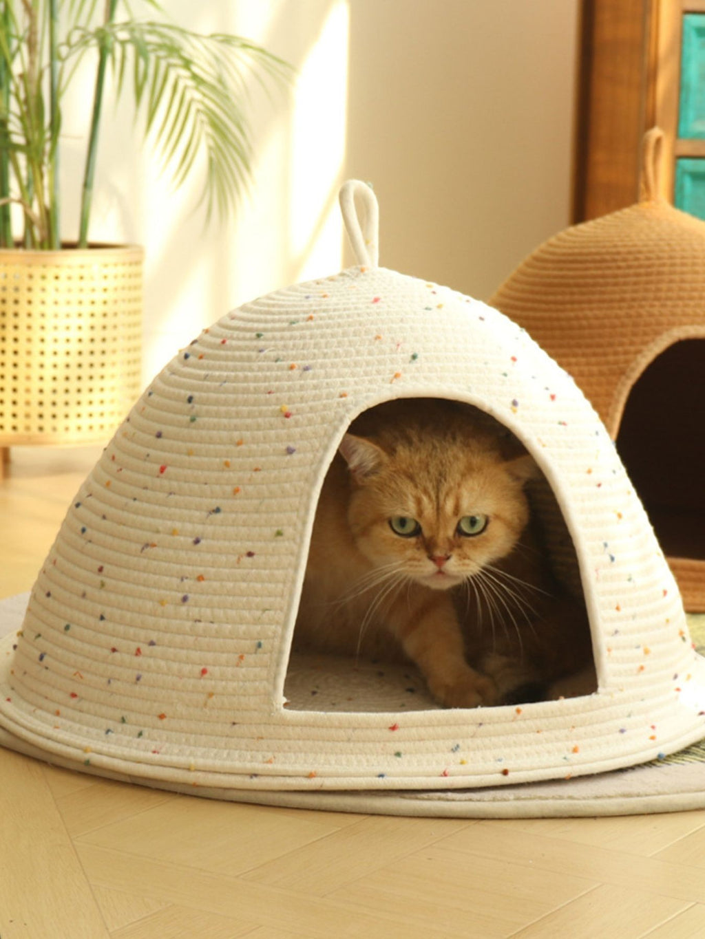 Little Pets Club Cozy Hideaway Cave pet bed, a cream woven dome with colorful speckles, featuring a cat inside. Perfect for cats and small dogs.