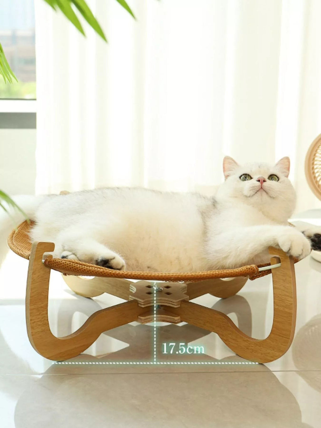 Little Pets Club Elevated Woven Lounge bed with natural woven surface and wooden frame, featuring a white cat lounging.