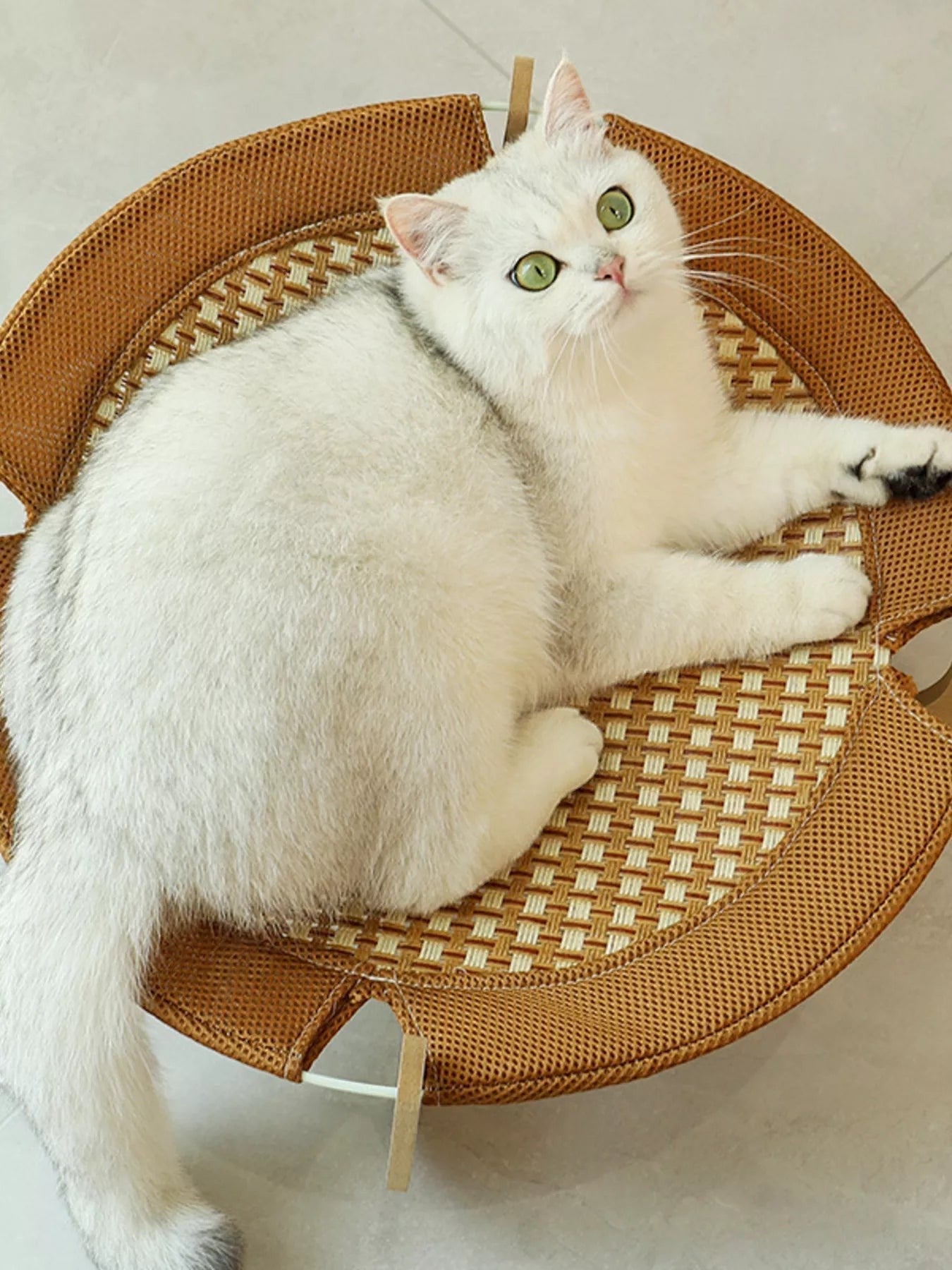 White cat with green eyes lounging on a woven brown elevated pet bed with a wooden frame by little pets club.