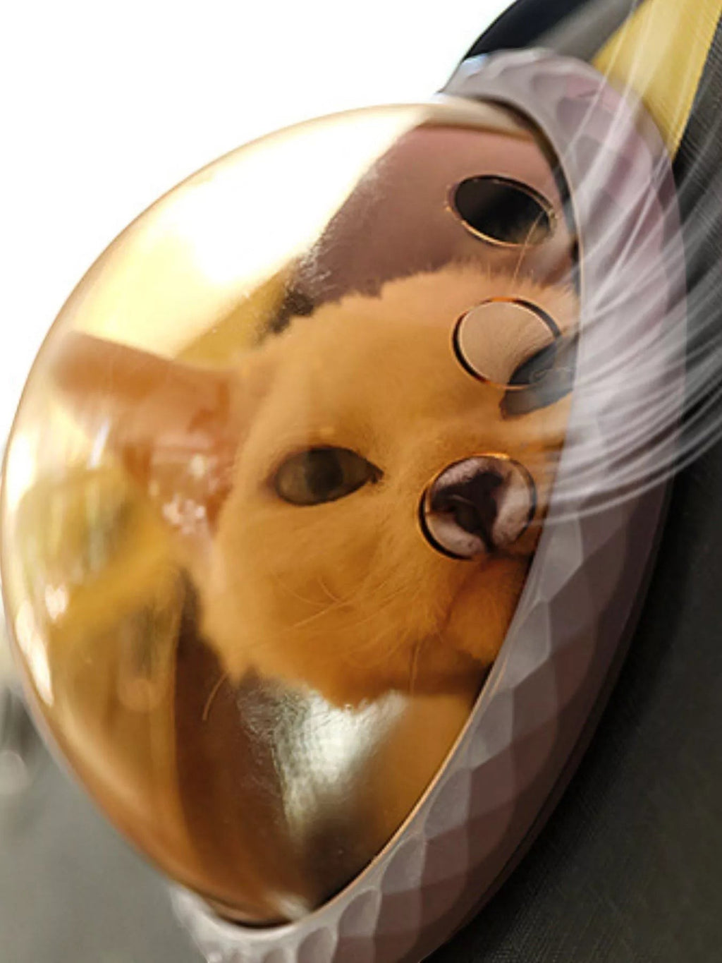 Little Pets Club golden pet carrier with bubble window, featuring a cat peeking out. Mesh sides for ventilation.