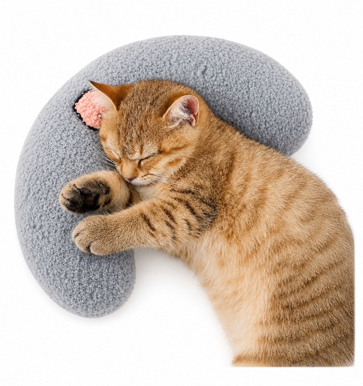 Little Pets Club grey U-shaped plush pet bed with a golden tabby kitten sleeping soundly.