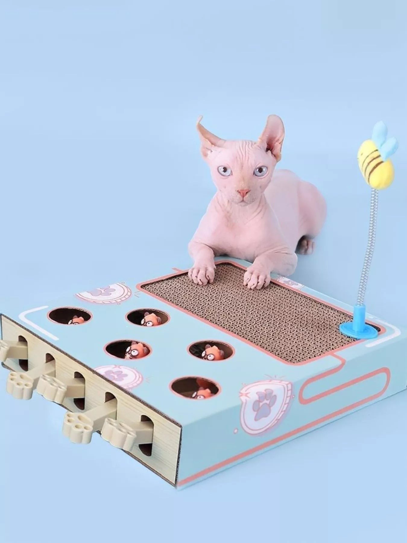 Little Pets Club interactive cat scratching box with whack-a-mole game and bee toy. Light blue box with paw prints and holes.