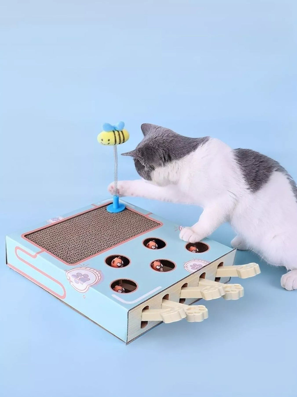 Little Pets Club interactive cat scratching box with whack-a-mole game and bee toy. Blue cardboard with corrugated scratch surface.