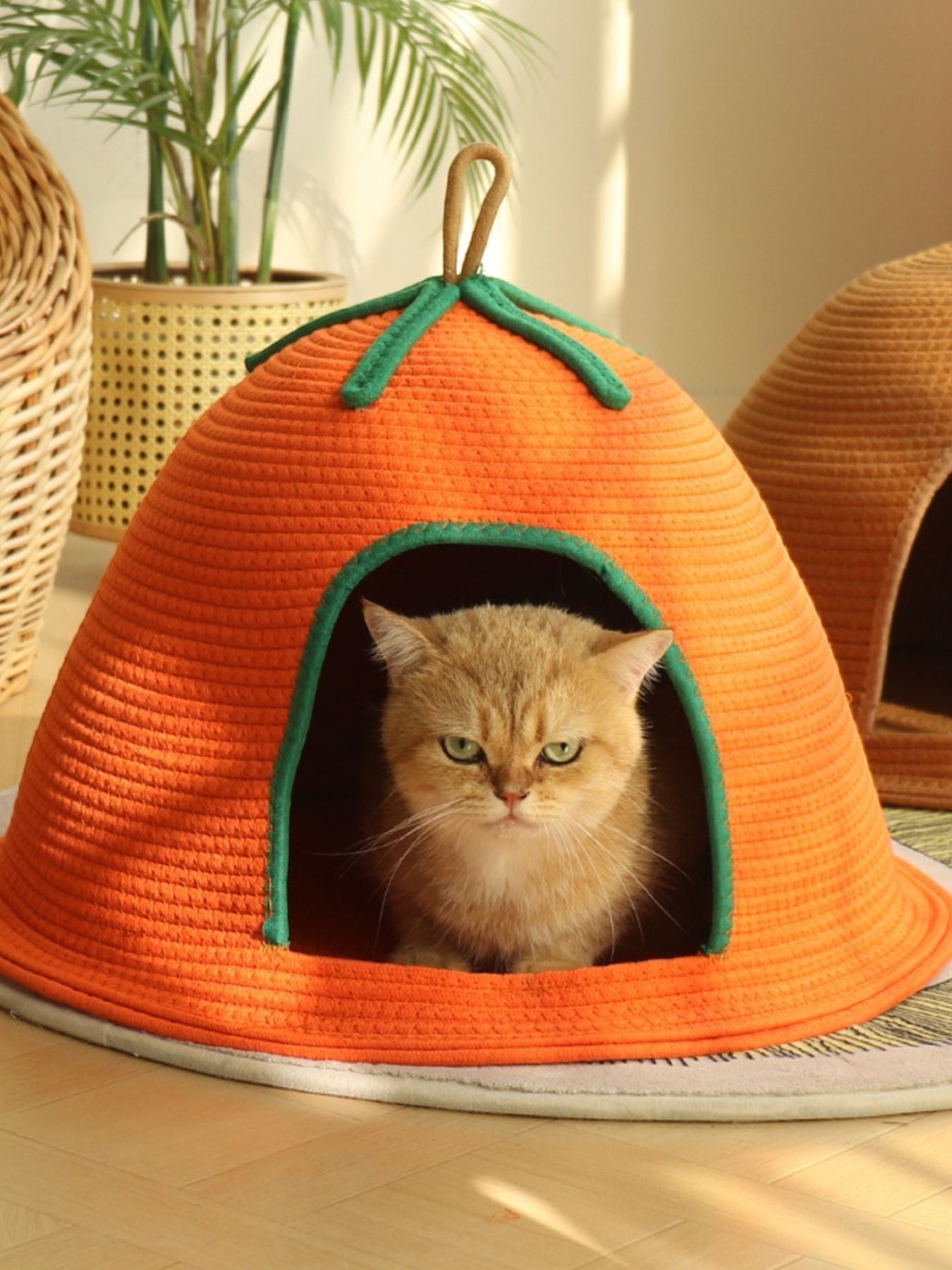 Little Pets Club orange woven cat cave bed with green trim and a handle. A ginger cat sits inside.