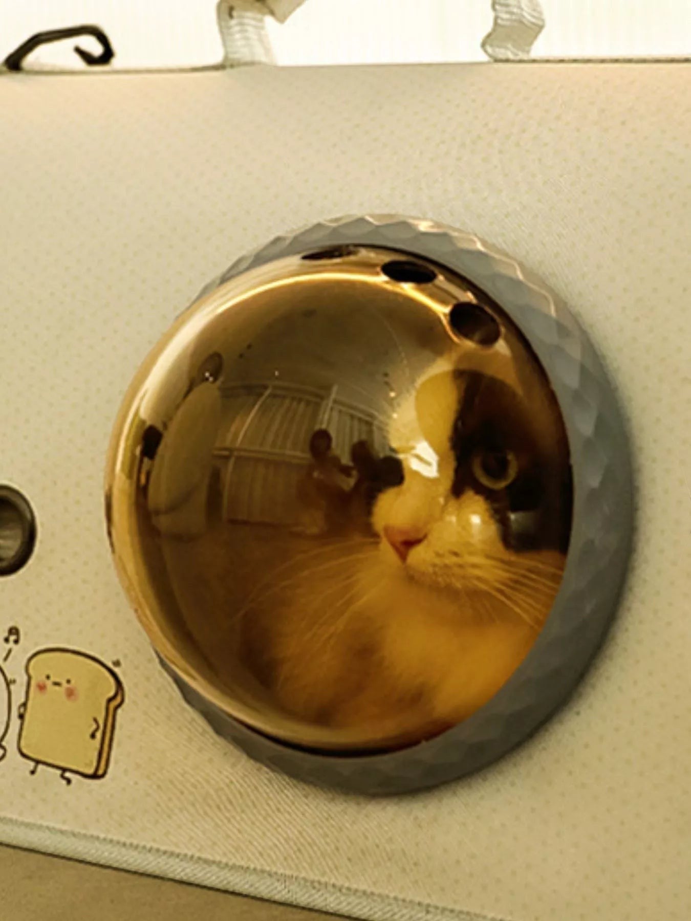 Little Pets Club light grey pet carrier with a golden bubble window showing a calico cat and cute toast graphics.