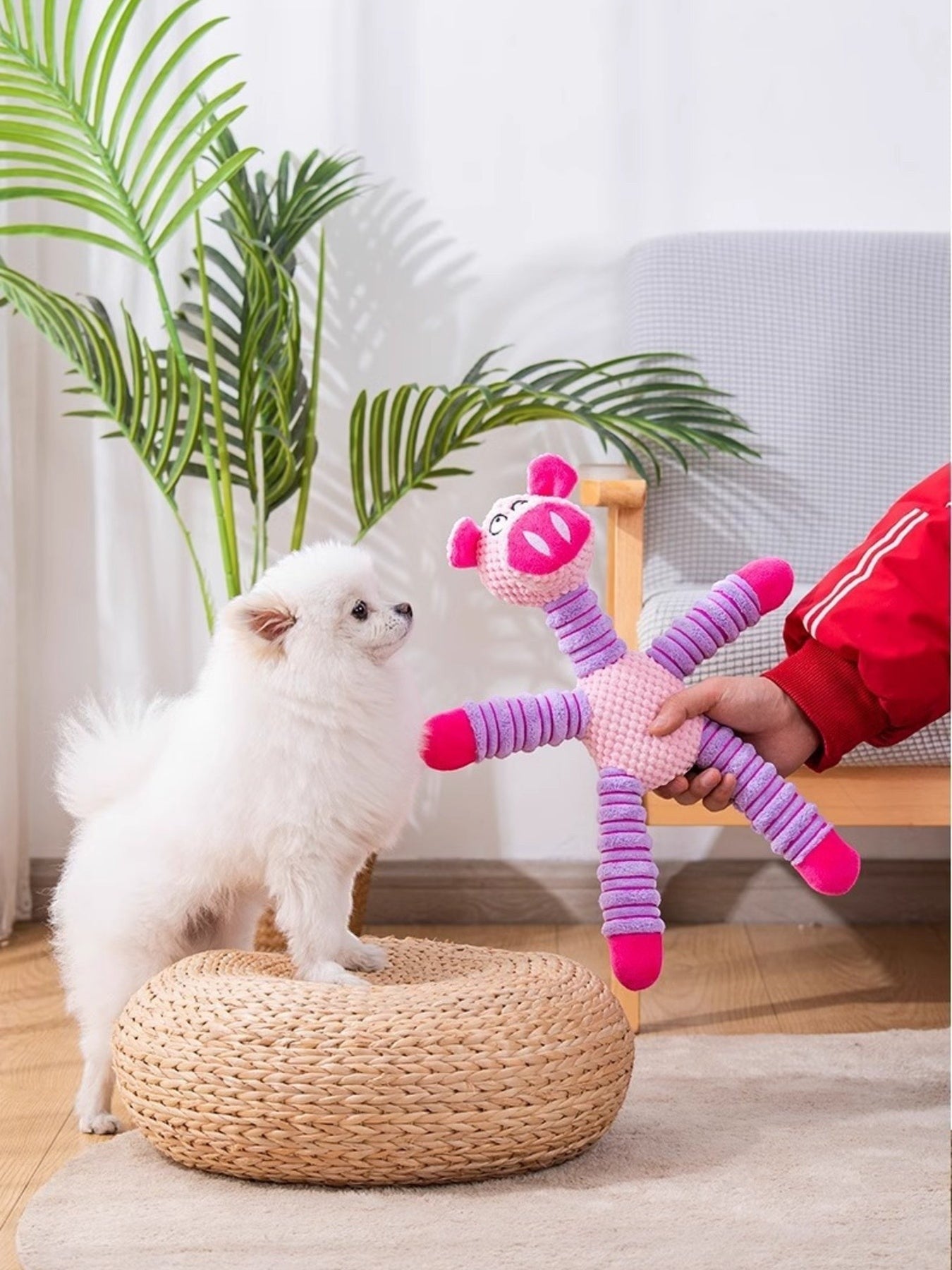 Little Pets Club pink and purple plush pig dog toy made of polyester, held by a hand near a small white dog.