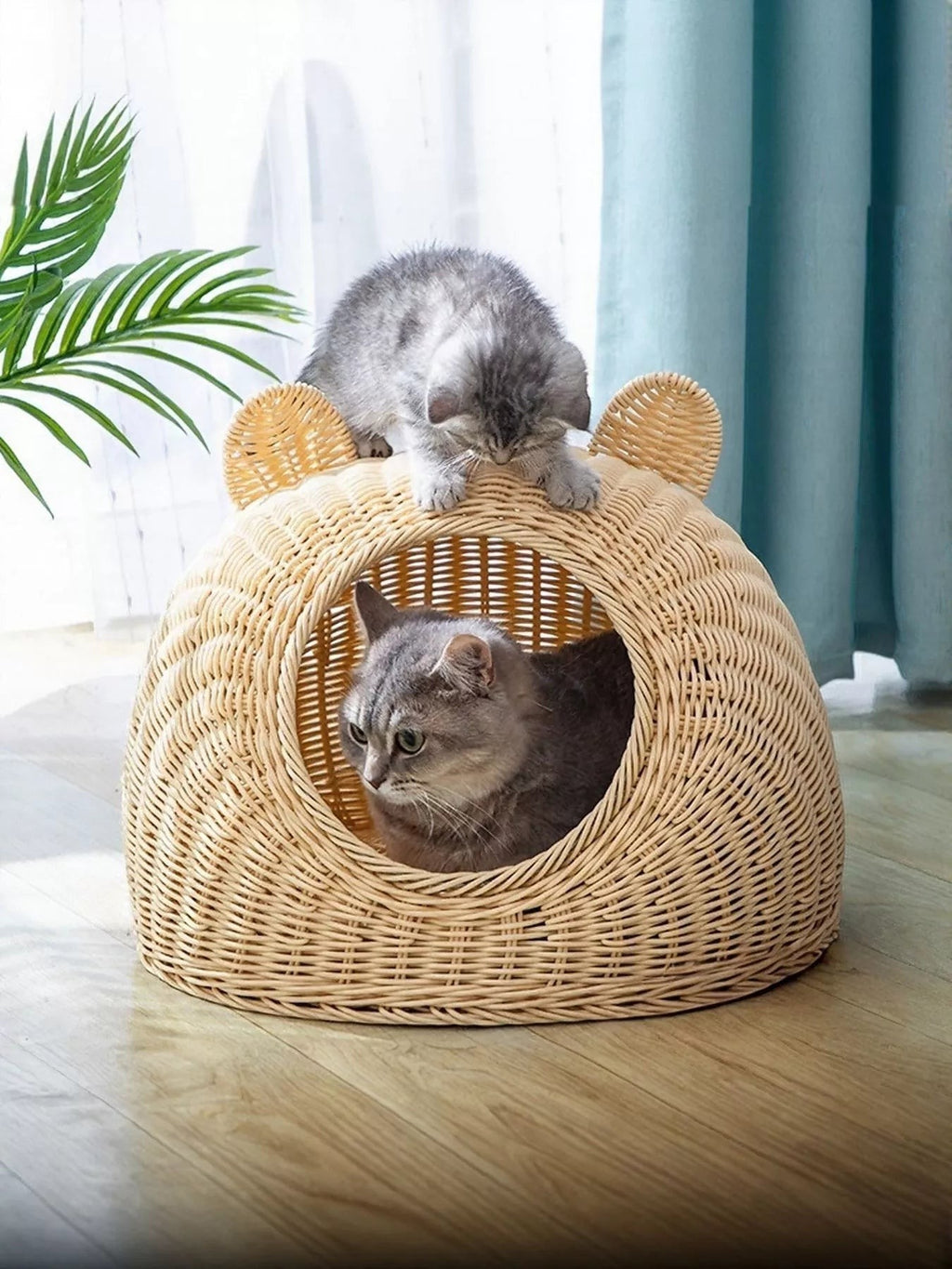 Little Pets Club natural rattan-style woven cat bed with ear details. Two cats lounge inside and on top.