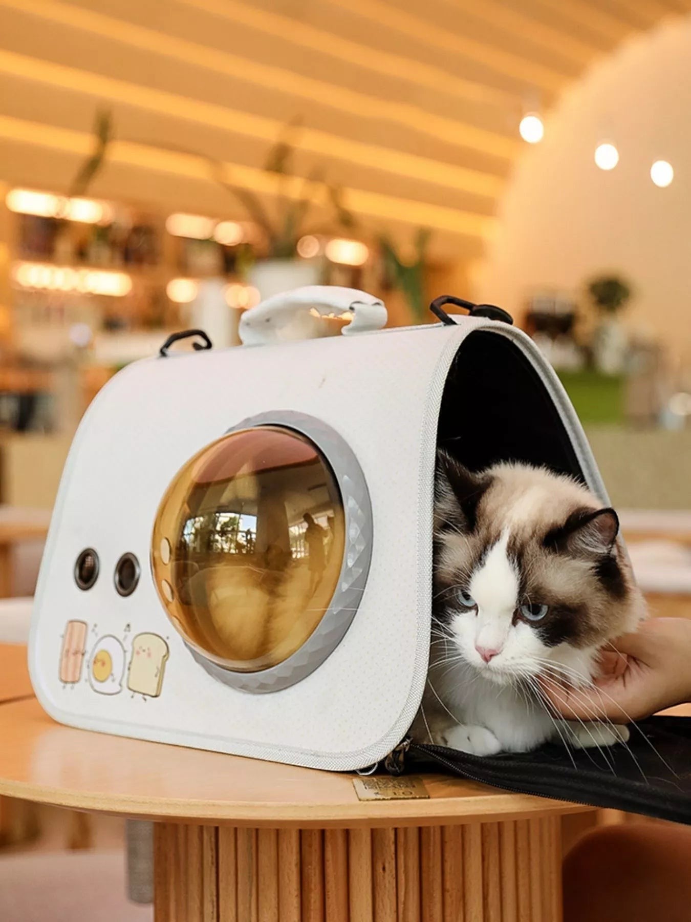 Little Pets Club white pet carrier with bubble window and breakfast graphics, featuring a Ragdoll cat inside.