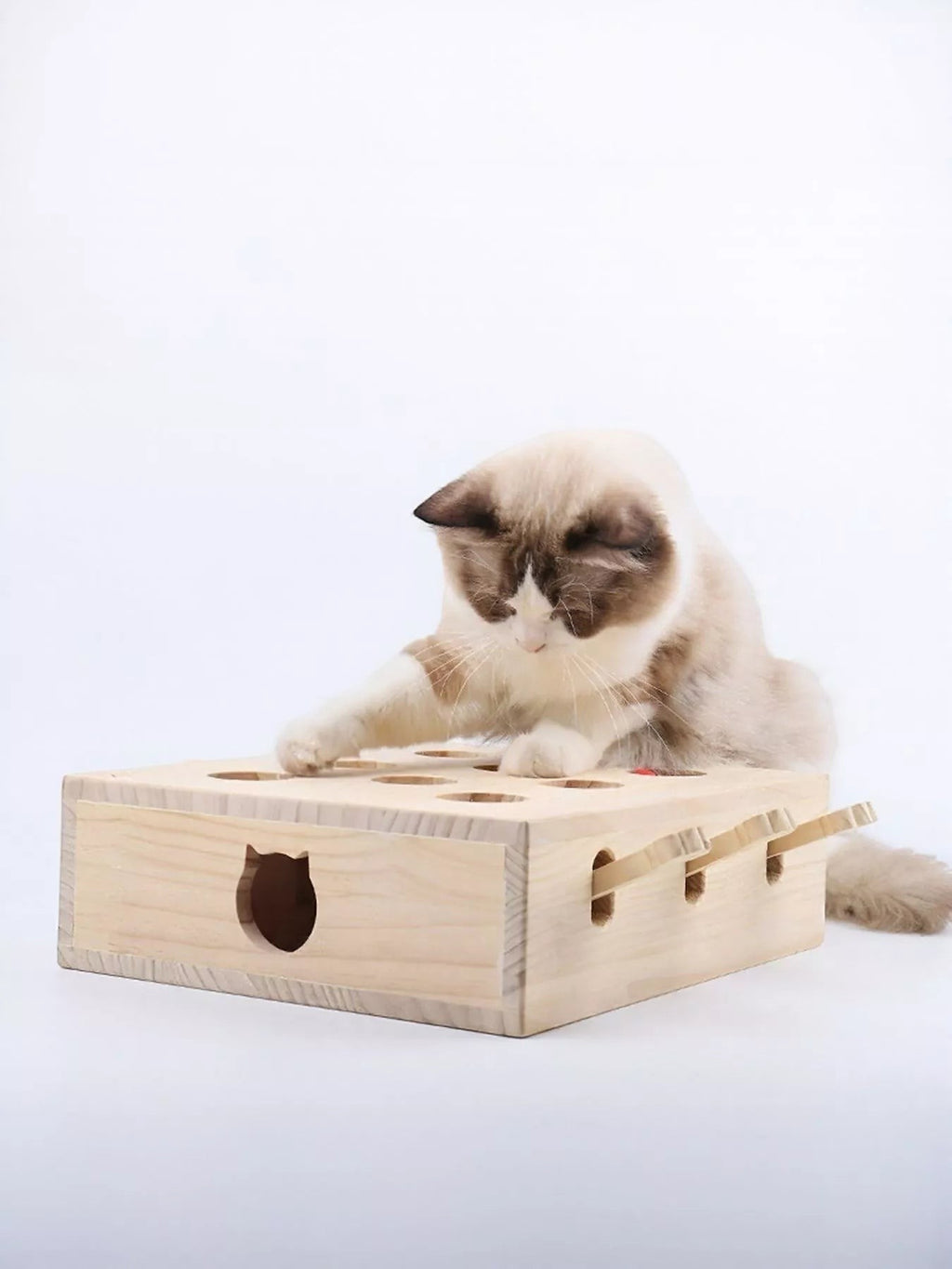 Little Pets Club interactive wooden whack-a-mole toy with a cat playing. Natural wood with multiple holes.