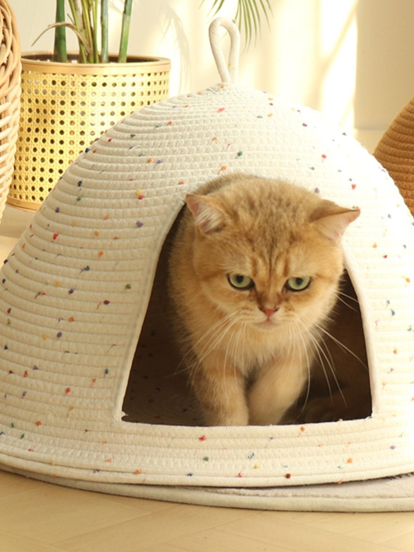 Little Pets Club Cozy Hideaway Cave pet bed, a semi-enclosed woven rope dome in cream with colorful speckles, featuring a golden cat.